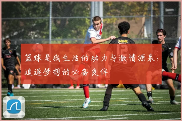 篮球是我生活的动力与激情源泉，追逐梦想的必备良伴